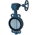 double eccentric butterfly valve stainless steel google